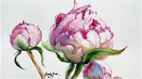 Watercolor Painting Pinkish Peony Buds Tutorial Step By Step YouTube
