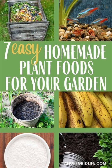 Homemade Plant Food 7 Easy Natural Fertilizer Recipes Artofit