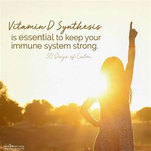Vitamin D Is The Sunshine Vitamin Made In The Body Through Direct