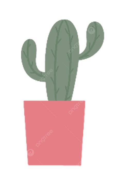 Cactus Pot Png Transparent Potted Cactus Potted Plants Cactus Plant