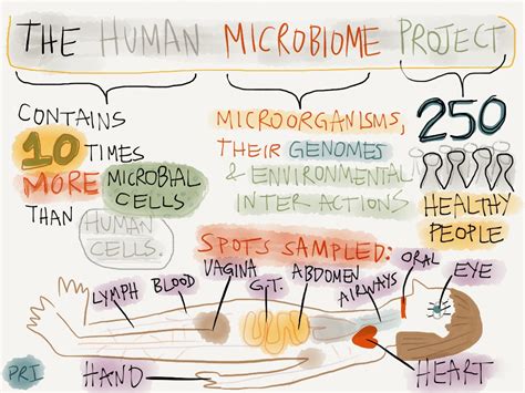 Human Microbiome Project Through An Infographic