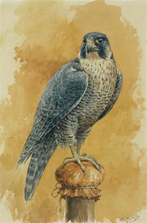 Hunting Falcon Painting By Alexander Sergeevich Khrenov Fine Art America