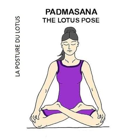 padmasana la posture du lotus the lotus pose professeur de yoga méditation accessoires