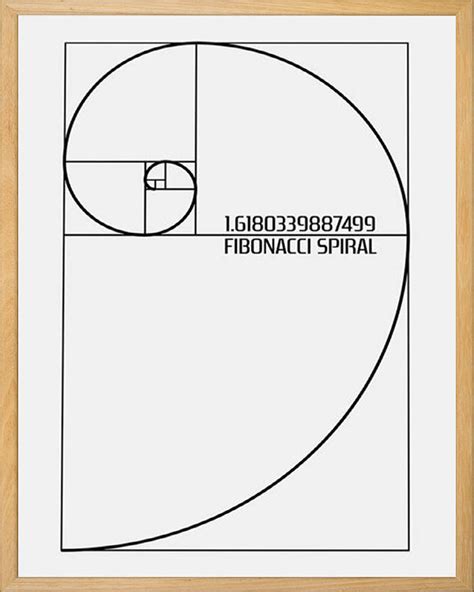 Fibonacci Spiral Golden Ratio Math Decorfibonacci Etsy
