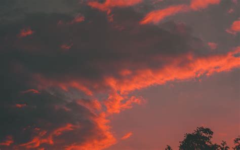 Download Wallpaper 3840x2400 Clouds Tree Sky Sunset Orange 4k Ultra