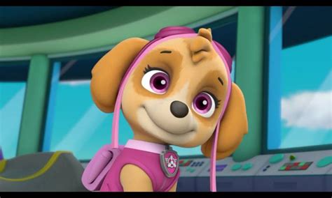 Skye Skye And Chase Paw Patrol Photo 40748437 Fanpop