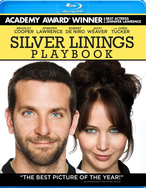 best buy silver linings playbook [blu ray] [2012]