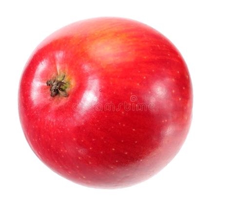 One Red Apple Isolated On White Background Stock Image Image Of Four