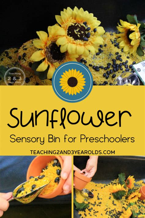 How To Create A Preschool Sunflower Sensory Table Sensory Bins