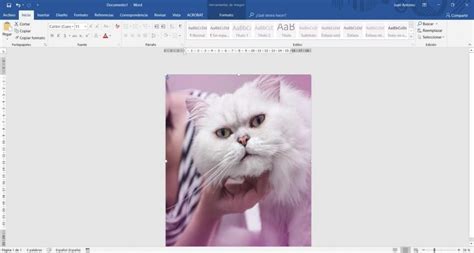 Cómo Imprimir Una Imagen Grande En Varias Hojas En Word Tutorial Paso