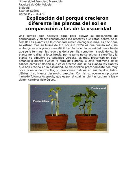 Crecimiento Y Desarrollo De Las Plantas Resumen
