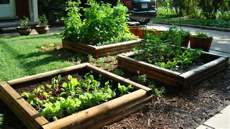 How To Plant A Raised Vegetable Garden