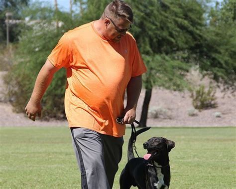 Let us do the legwork. Phoenix & Scottsdale Dog Training Near Me | Dog Trainers