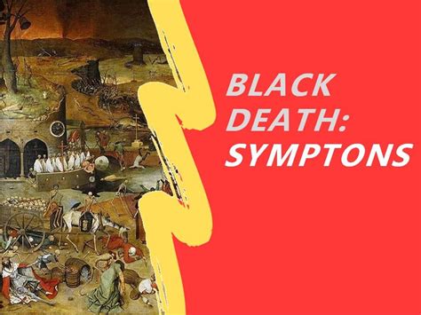 Medieval History Bundle Black Death Causes Symptoms Cures Affect Of The Plague And The