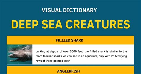 Deep Sea Creatures List With Amazing Facts And Pictures 7esl