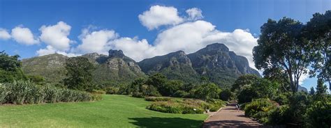 Mercedes benz century city in cape town. Fun activities at Kirstenbosch Botanical Garden in Cape ...