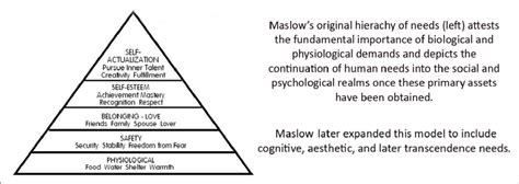 Maslows Original Hierarchy Of Needs Maslow 1943 Download