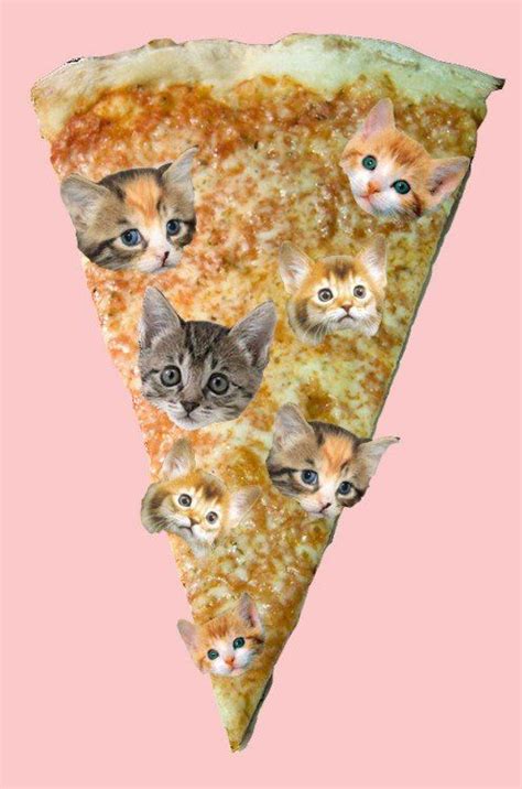 Meow Pizza Cat Art Pizza Cat Crazy Cats