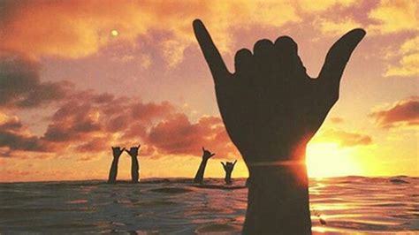 Shaka Hawaiian Hand Symbol Kukuiula