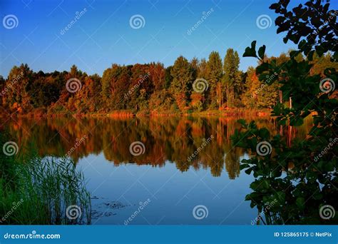Idyllic Lake Reflections Of Fall Foliage Stock Image Image Of