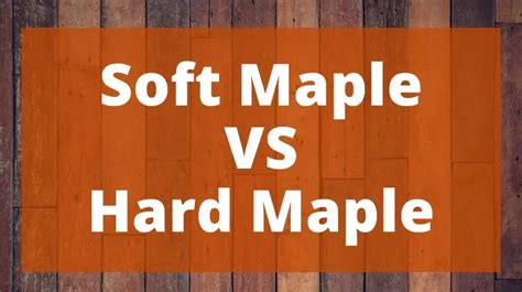 Soft Maple Vs Hard Maple Whats The Difference Top Woodworking Advice