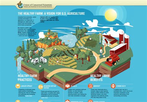 The Healthy Farm A Vision For Us Agriculture Interactive Infographic