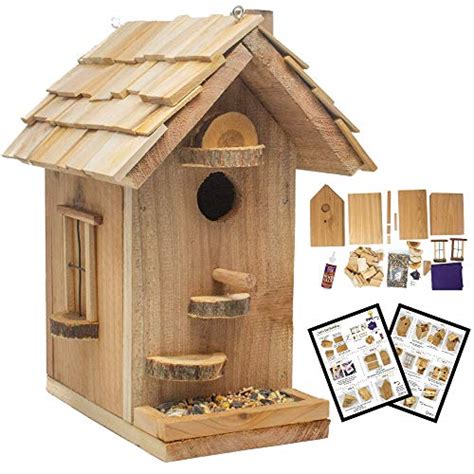 Top 8 Build Your Own Bird House Kit Birdhouses Clickreason