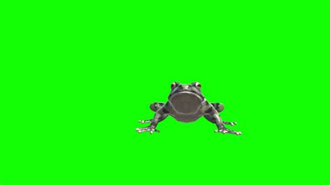Cute Animated Nodding Frog Green Screen Free Stock Video Youtube