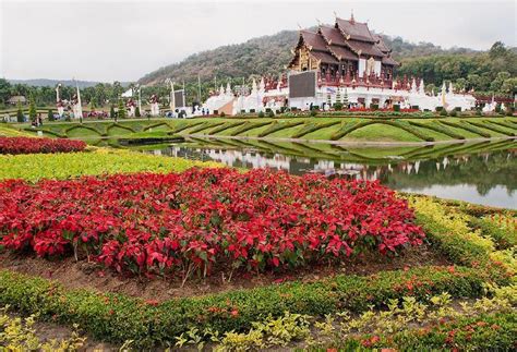 Popular Attractions In Chiang Mai For Your First Visit