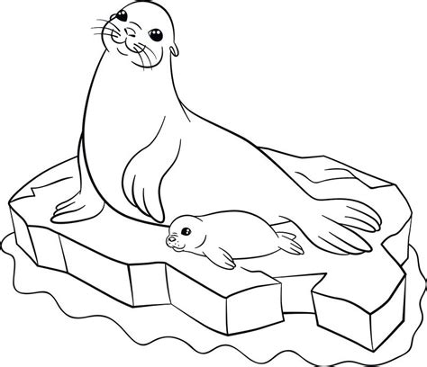 Circus Seal Coloring Page at GetDrawings | Free download