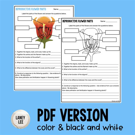 Parts Of Flower Pollination And Fertilization Worksheet Answers Home Alqu