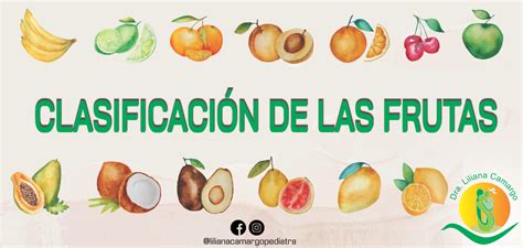 Clasificación De Las Frutas Dra Liliana Camargo