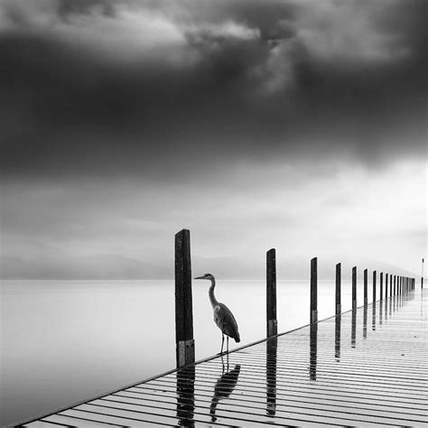 Pin By E Nrico On Biancoenero Black And White Landscape Nature