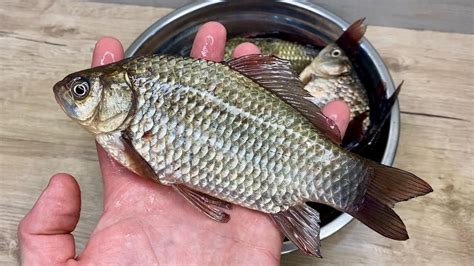 🔥fried Fish Without Bones In Wet Breading Fried Crucian Carp Crispy