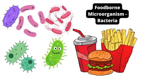 Microbiology Note Microbiology And Biology Notes