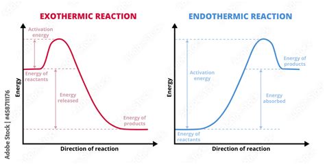 Plakat Vector Graphs Or Charts Of Endothermic And Exothermic Reactions