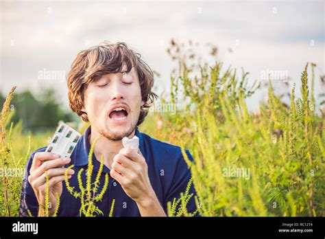 Young Man Sneezes Because Of An Allergy To Ragweed Stock Photo Alamy