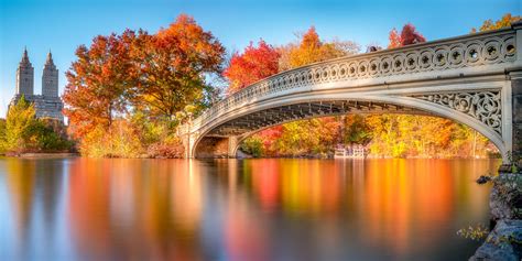 Download Free 100 Fall Central Park
