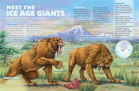 Meet The Ice Age Giants Nwf Ranger Rick