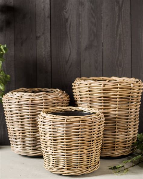Outdoor Rattan Basket Planter Balsam Hill Rattan Basket Decorative
