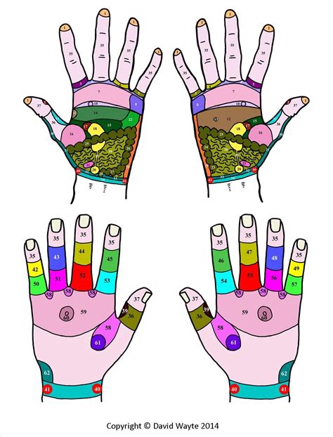 Hand Reflexology Hand Reflexology Reflexology Hand Massage