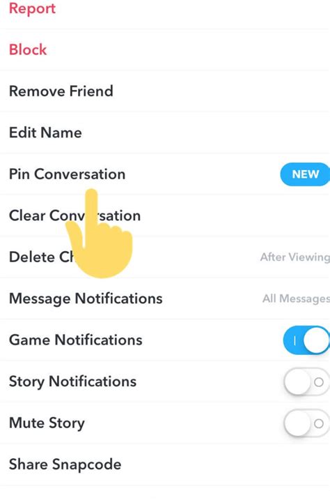 What Is Pin Conversation On Snapchat Wojdylo Social Media