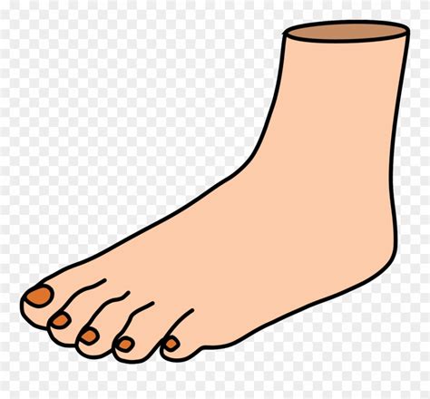 Download Free Clipart On Dumielauxepices Foot Png Download 324796