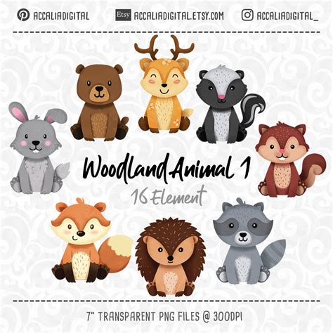 Woodland Animals Clipart Raccoon Forest Friends Sticker Etsy