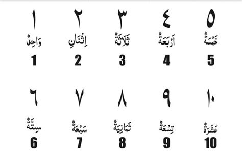 Bahasa Arab Angka 1 100 Lengkap Dengan Gambar Diedit Common App Imagesee