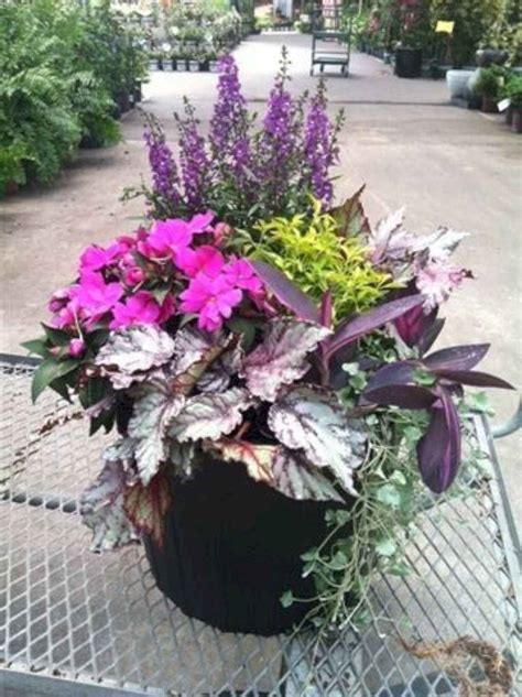 Annual Flowering Plants For Partial Sun 60 Stunning Container Garden