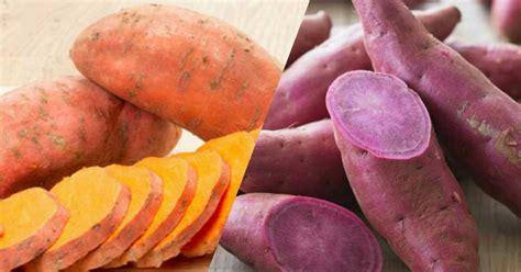 Are there any sweet potato health benefits? Should You Eat Sweet Potatoes If You Have DIabetes ...