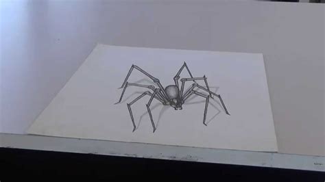 Anamorphic Illusion Spider Youtube