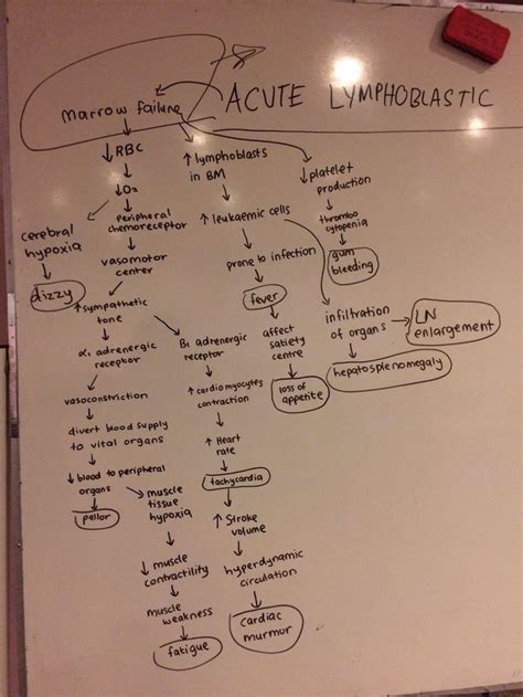 Pin By Gm Lailie On Pathophysiology Notes Medical Laboratory Science