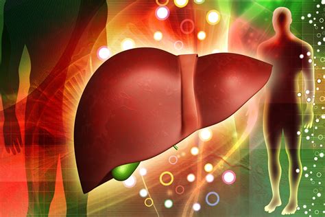 Hepatitis C Y Cirrosis Primeras Causas Para Trasplante De Hígado